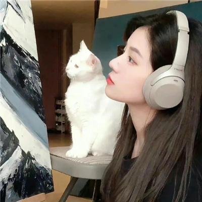 心敌